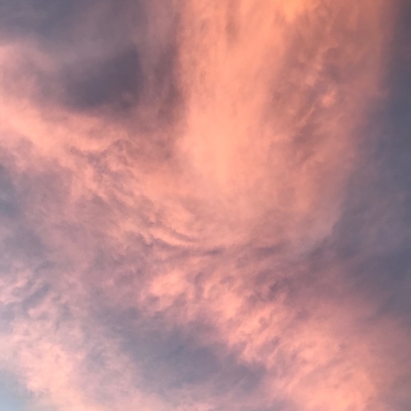 Meet your Posher, Alodie - Picture 1 of 1